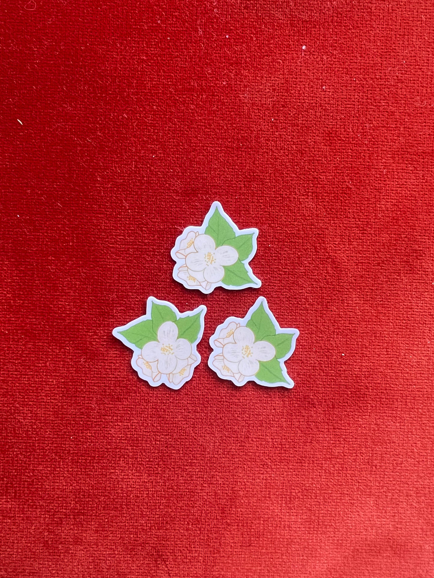 Jasmine