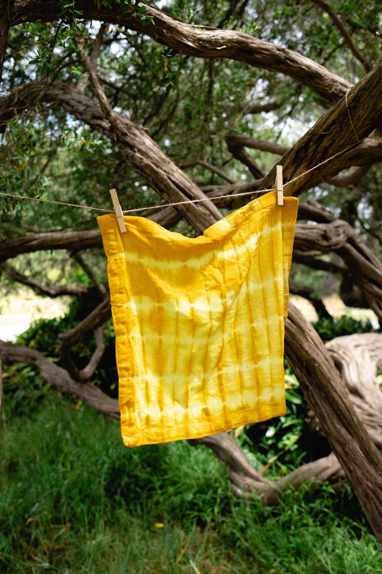Bandhani Natural Dye Kit
