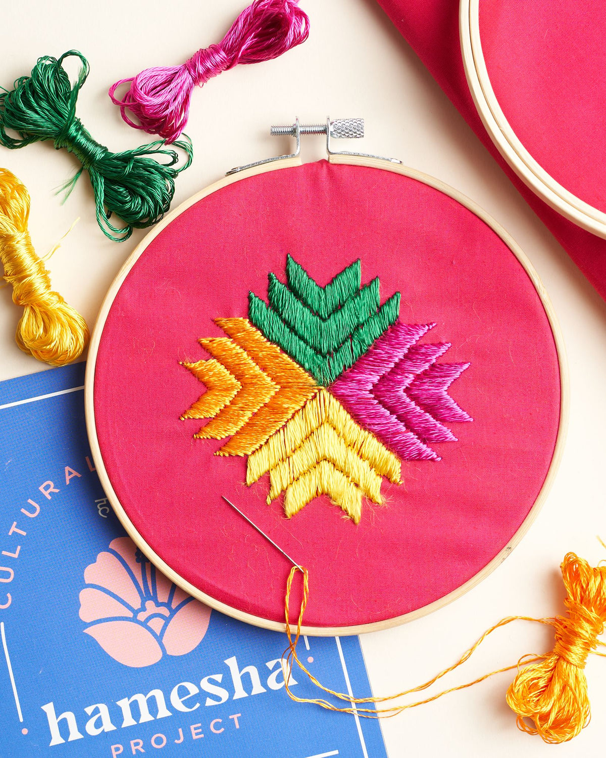 Phulkari Embroidery Kit